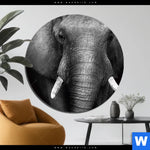 Aluminiumbild Gebürstet Elefant Schwarzweiss Rund Produktvorschau mit dem Bild Elefant Schwarzweiß im Format Rund.