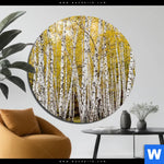 Aluminiumbild Gebürstet Gelber Birkenwald Rund Produktvorschau mit dem Bild Gelber Birkenwald im Format Rund.