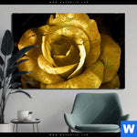 Aluminiumbild Gebürstet Goldene Rose Querformat Produktvorschau mit dem Bild Goldene Rose im Format Querformat.