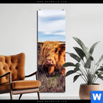 Aluminiumbild Gebürstet Grasendes Hochlandrind Schmal Produktvorschau mit dem Bild Grasendes Hochlandrind im Format Schmal.