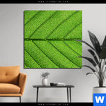 Aluminiumbild Gebürstet Gruene Blattadern Quadrat Produktvorschau mit dem Bild Grüne Blattadern im Format Quadrat.