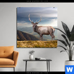 Aluminiumbild Gebürstet Hirsch In Der Herbstzeit Quadrat Produktvorschau mit dem Bild Hirsch in der Herbstzeit im Format Quadrat.