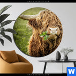 Aluminiumbild Gebürstet Hochland Rind Mit Nasenring Rund Produktvorschau mit dem Bild Hochland-Rind mit Nasenring im Format Rund.