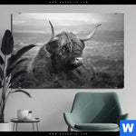 Aluminiumbild Gebürstet Hochland Rind Schwarz Weiss No 2 Querformat Produktvorschau mit dem Bild Hochland-Rind Schwarz-Weiß No. 2 im Format Querformat.