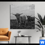Aluminiumbild Gebürstet Hochland Rind Schwarz Weiss Quadrat Produktvorschau mit dem Bild Hochland-Rind Schwarz-Weiß im Format Quadrat.