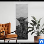 Aluminiumbild Gebürstet Hochland Rind Schwarz Weiss Schmal Produktvorschau mit dem Bild Hochland-Rind Schwarz-Weiß im Format Schmal.