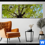 Aluminiumbild Gebürstet Hoher Baum Panorama Produktvorschau mit dem Bild Hoher Baum im Format Panorama.