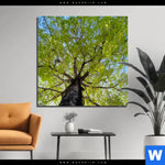 Aluminiumbild Gebürstet Hoher Baum Quadrat Produktvorschau mit dem Bild Hoher Baum im Format Quadrat.