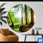 Aluminiumbild Gebürstet Idyllischer Wald Bei Sonnenaufgang Rund Produktvorschau mit dem Bild Idyllischer Wald bei Sonnenaufgang im Format Rund.
