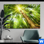 Aluminiumbild Gebürstet Im Frischen Gruenen Wald Querformat Produktvorschau mit dem Bild Im frischen grünen Wald im Format Querformat.