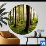 Aluminiumbild Gebürstet Im Tiefen Wald Rund Produktvorschau mit dem Bild Im tiefen Wald im Format Rund.