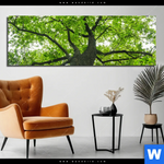 Aluminiumbild Gebürstet Imposanter Baum Panorama Produktvorschau mit dem Bild Imposanter Baum im Format Panorama.