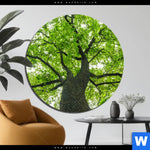 Aluminiumbild Gebürstet Imposanter Baum Rund Produktvorschau mit dem Bild Imposanter Baum im Format Rund.