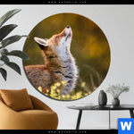 Aluminiumbild Gebürstet Junger Fuchs Rund Produktvorschau mit dem Bild Junger Fuchs im Format Rund.