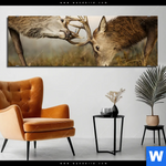 Aluminiumbild Gebürstet Kaempfende Hirsche Panorama Produktvorschau mit dem Bild Kämpfende Hirsche im Format Panorama.