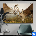 Aluminiumbild Gebürstet Kaempfende Hirsche Querformat Produktvorschau mit dem Bild Kämpfende Hirsche im Format Querformat.