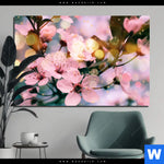 Aluminiumbild Gebürstet Kirschblueten Im Fruehlingslicht Querformat Produktvorschau mit dem Bild Kirschblüten im Frühlingslicht im Format Querformat.