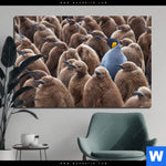 Aluminiumbild Gebürstet Koenigspinguine Querformat Produktvorschau mit dem Bild Königspinguine im Format Querformat.