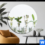 Aluminiumbild Gebürstet Kraeuter In Flaschen Rund Produktvorschau mit dem Bild Kräuter in Flaschen im Format Rund.