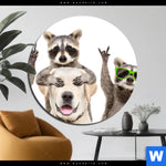 Aluminiumbild Gebürstet Lustige Waschbaeren Mit Hund Rund Produktvorschau mit dem Bild Lustige Waschbären mit Hund im Format Rund.