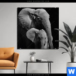 Aluminiumbild Gebürstet Mutter Baby Elefant Quadrat Produktvorschau mit dem Bild Mutter & Baby Elefant im Format Quadrat.