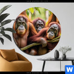 Aluminiumbild Gebürstet Orang Utan Familie Im Regenwald Rund Produktvorschau mit dem Bild Orang Utan Familie im Regenwald im Format Rund.