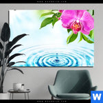 Aluminiumbild Gebürstet Orchidee Wassertropfen Querformat Produktvorschau mit dem Bild Orchidee & Wassertropfen im Format Querformat.