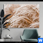 Aluminiumbild Gebürstet Pampasgras Querformat Produktvorschau mit dem Bild Pampasgras im Format Querformat.