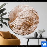 Aluminiumbild Gebürstet Pampasgras Rund Produktvorschau mit dem Bild Pampasgras im Format Rund.