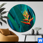 Aluminiumbild Gebürstet Paradiesvogelblume Rund Produktvorschau mit dem Bild Paradiesvogelblume im Format Rund.