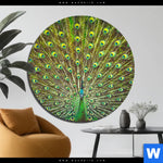Aluminiumbild Gebürstet Pfauenschwanz Rund Produktvorschau mit dem Bild Pfauenschwanz im Format Rund.