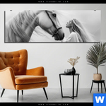 Aluminiumbild Gebürstet Pferd Wildnis Liebe Panorama Produktvorschau mit dem Bild Pferd - Wildnis Liebe im Format Panorama.