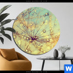 Aluminiumbild Gebürstet Pusteblume Bei Sonnenuntergang Rund Produktvorschau mit dem Bild Pusteblume bei Sonnenuntergang im Format Rund.