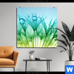 Aluminiumbild Gebürstet Pusteblume Mit Tautropfen Quadrat Produktvorschau mit dem Bild Pusteblume mit Tautropfen im Format Quadrat.