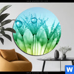 Aluminiumbild Gebürstet Pusteblume Mit Tautropfen Rund Produktvorschau mit dem Bild Pusteblume mit Tautropfen im Format Rund.