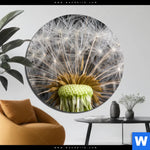 Aluminiumbild Gebürstet Pusteblume No 10 Rund Produktvorschau mit dem Bild Pusteblume No. 10 im Format Rund.