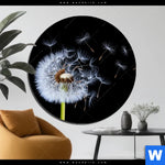 Aluminiumbild Gebürstet Pusteblume No 6 Rund Produktvorschau mit dem Bild Pusteblume No. 6 im Format Rund.