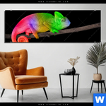 Aluminiumbild Gebürstet Regenbogen Chamaeleon Panorama Produktvorschau mit dem Bild Regenbogen Chamäleon im Format Panorama.