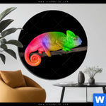Aluminiumbild Gebürstet Regenbogen Chamaeleon Rund Produktvorschau mit dem Bild Regenbogen Chamäleon im Format Rund.