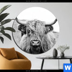 Aluminiumbild Gebürstet Rind Im Hochland Rund Produktvorschau mit dem Bild Rind im Hochland im Format Rund.