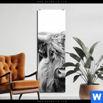 Aluminiumbild Gebürstet Rind Im Hochland Schmal Produktvorschau mit dem Bild Rind im Hochland im Format Schmal.