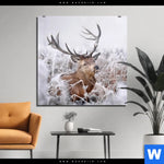 Aluminiumbild Gebürstet Rothirsch Im Winter Quadrat Produktvorschau mit dem Bild Rothirsch im Winter im Format Quadrat.
