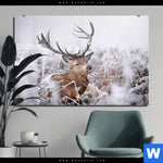 Aluminiumbild Gebürstet Rothirsch Im Winter Querformat Produktvorschau mit dem Bild Rothirsch im Winter im Format Querformat.