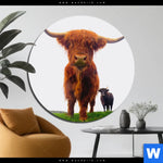 Aluminiumbild Gebürstet Schottisches Hochlandrind Rund Produktvorschau mit dem Bild Schottisches Hochlandrind im Format Rund.