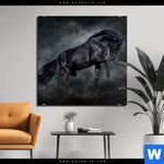 Aluminiumbild Gebürstet Schwarzer Hengst Quadrat Produktvorschau mit dem Bild Schwarzer Hengst im Format Quadrat.