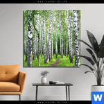 Aluminiumbild Gebürstet Sommerbirken Quadrat Produktvorschau mit dem Bild Sommerbirken im Format Quadrat.