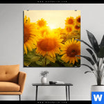 Aluminiumbild Gebürstet Sonnenblumen Im Abendlicht Quadrat Produktvorschau mit dem Bild Sonnenblumen im Abendlicht im Format Quadrat.