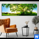 Aluminiumbild Gebürstet Sonnendurchfluteter Baum Panorama Produktvorschau mit dem Bild Sonnendurchfluteter Baum im Format Panorama.