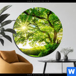 Aluminiumbild Gebürstet Sonnendurchfluteter Baum Rund Produktvorschau mit dem Bild Sonnendurchfluteter Baum im Format Rund.