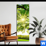 Aluminiumbild Gebürstet Sonnendurchfluteter Baum Schmal Produktvorschau mit dem Bild Sonnendurchfluteter Baum im Format Schmal.